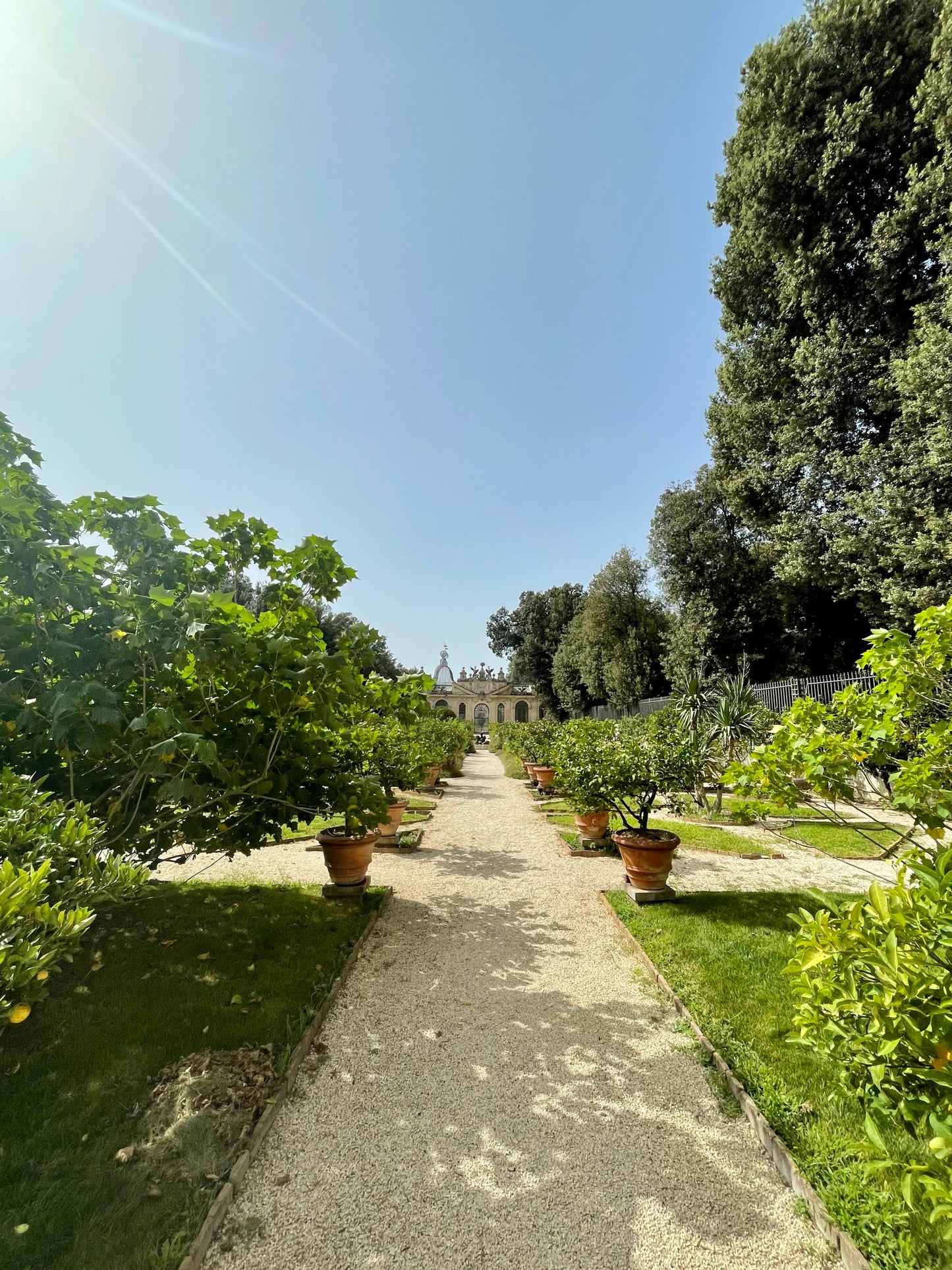 Gardens of Rome